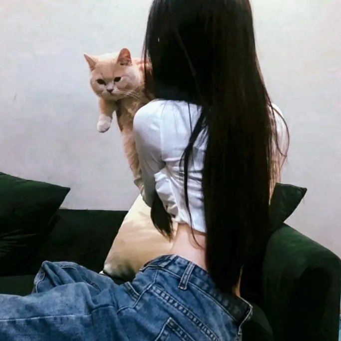 灰姑娘的故事3